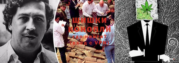 шишки Алексеевка