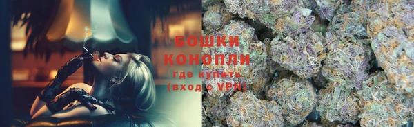 шишки Алексеевка